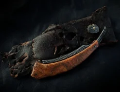 Dylan Farnham Buckeye Burl Striation Straight Razor -Classic Shaving DSC04280 scaled