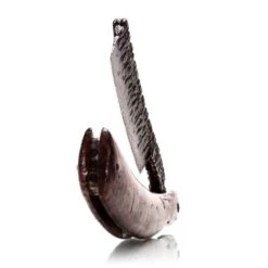 Dylan Farnham Custom Straight Razor - Stabilized Redwood Burl Wood Scales -Classic Shaving dylan farnham custom straight razor stabilized redwood burl wood scales 7