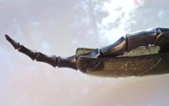 SOLD-Dylan Farnham Straight Razor #59 With Custom Sheath -Classic Shaving sold dylan farnham straight razor 59 with custom sheath 8